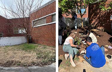 Schoolscapes Projects