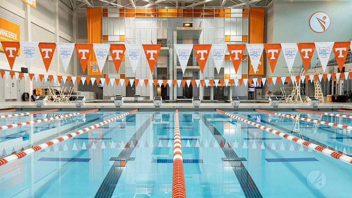 tennessee swimmers win medals