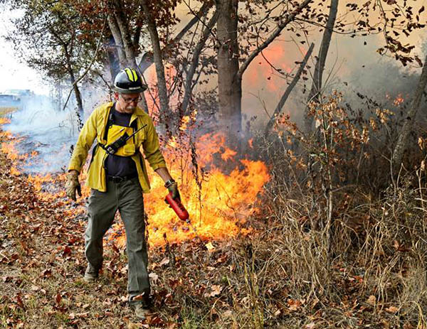 Controlled burns scheduled on the DOE Oak Ridge Reservation