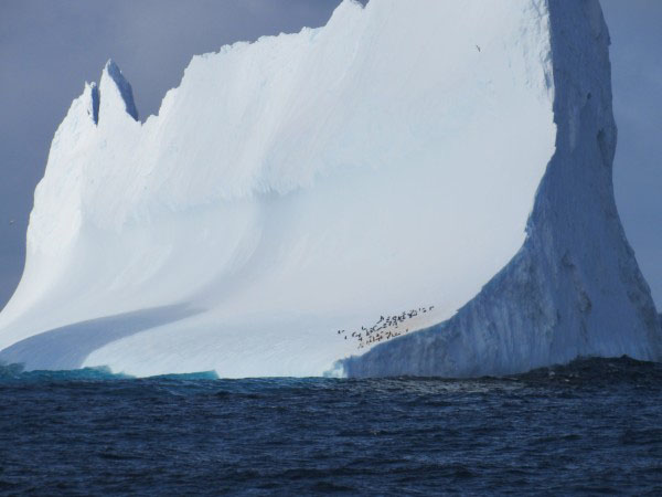 antarctica ice melts