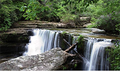 fiery gizzard state park