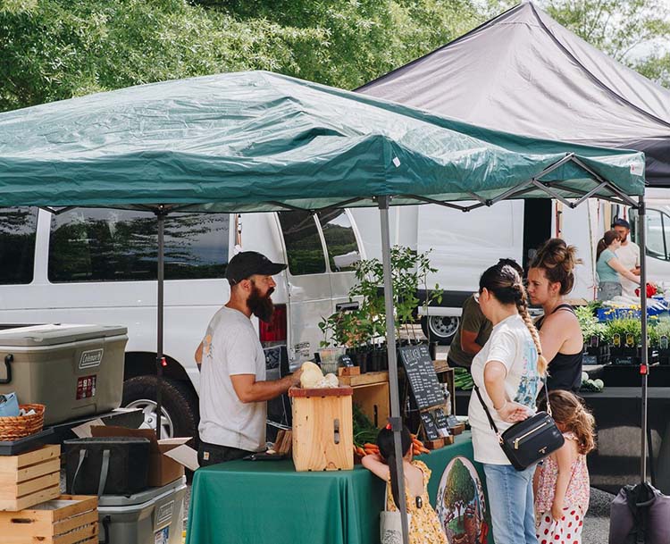 New Harvest Farmers Market
