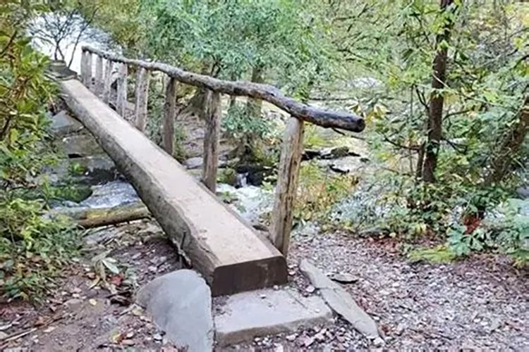 Abrams Falls trail