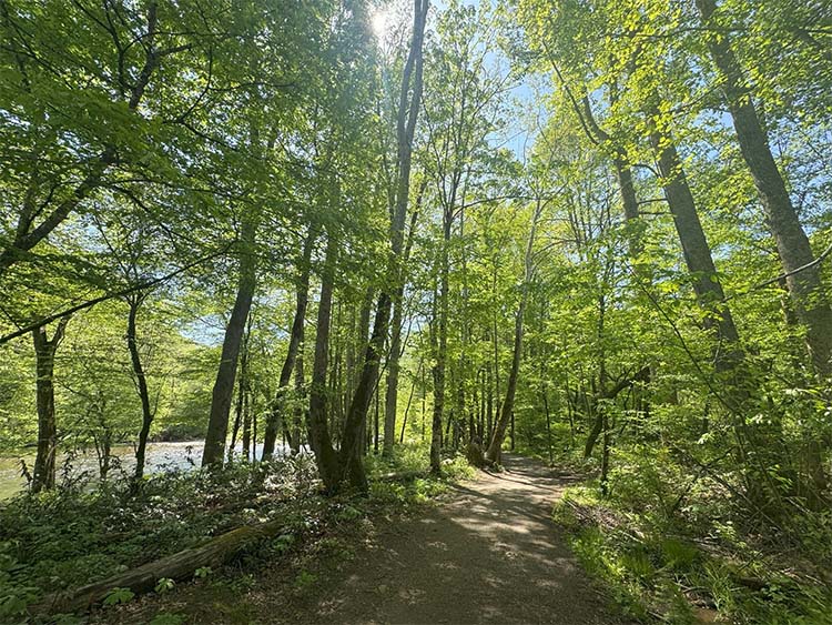 Oconaluftee Trail