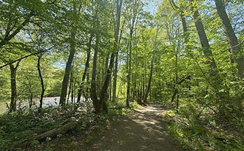 Oconaluftee River Trail