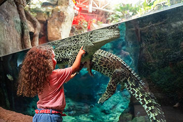 Zoo Knoxville