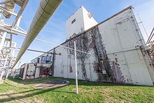 zoo knoxville parrot