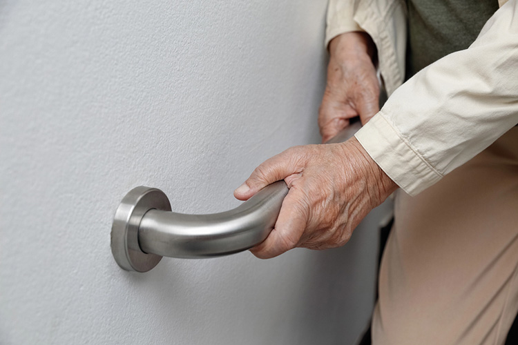 grab bar