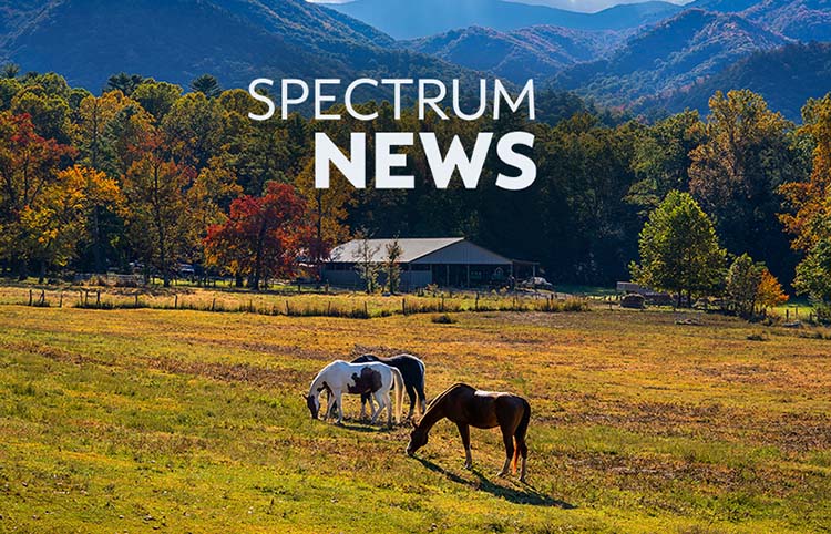 Spectrum News Channel