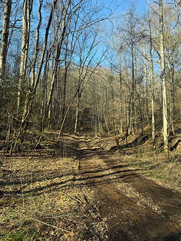 Oliver Tract