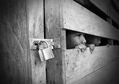 human trafficking report