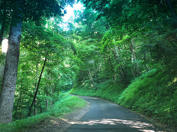 Roaring Fork Motor Nature Trail