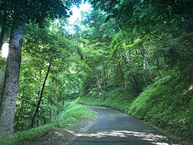 Roaring Fork Motor Nature Trail